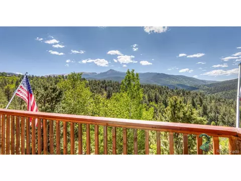 286 Grosbeak Cir, Divide, CO 80814 photo 8
