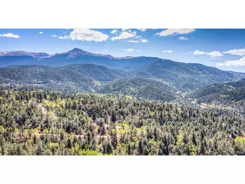 286 Grosbeak Cir, Divide, CO 80814 photo 48