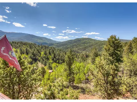 286 Grosbeak Cir, Divide, CO 80814 photo 40