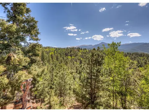 286 Grosbeak Cir, Divide, CO 80814 photo 37