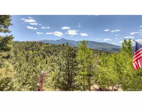 286 Grosbeak Cir, Divide, CO 80814 photo 38