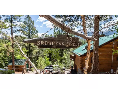 286 Grosbeak Cir, Divide, CO 80814 photo 50
