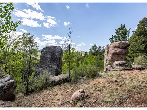 286 Grosbeak Cir, Divide, CO 80814 photo 45