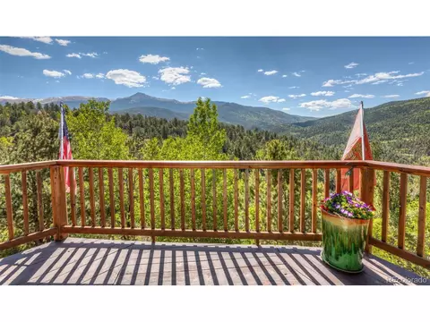 286 Grosbeak Cir, Divide, CO 80814 photo 39