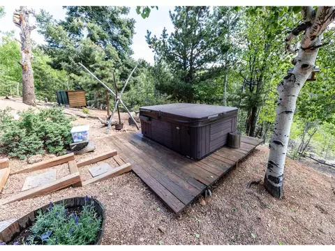 286 Grosbeak Cir, Divide, CO 80814 photo 43
