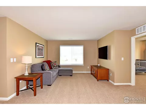 6734 Spring Rain Rd, Timnath, CO 80547 photo 20