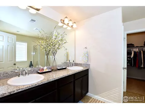 6734 Spring Rain Rd, Timnath, CO 80547 photo 23