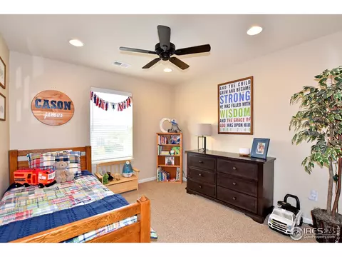 6734 Spring Rain Rd, Timnath, CO 80547 photo 28