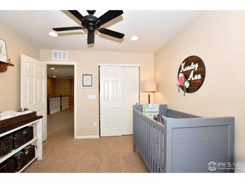 6734 Spring Rain Rd, Timnath, CO 80547 photo 26