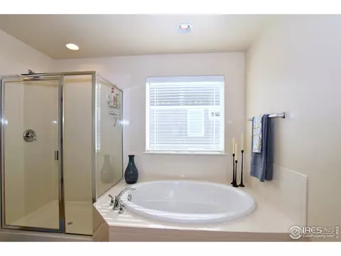 6734 Spring Rain Rd, Timnath, CO 80547 photo 24