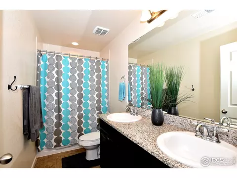 6734 Spring Rain Rd, Timnath, CO 80547 photo 27