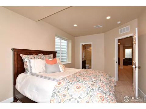 6734 Spring Rain Rd, Timnath, CO 80547 photo 35