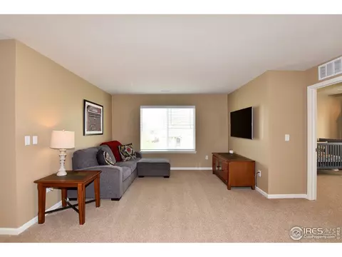 6734 Spring Rain Rd, Timnath, CO 80547 photo 7