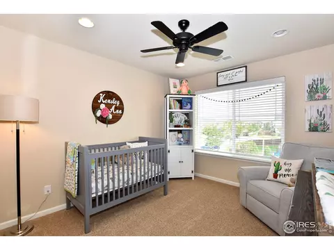 6734 Spring Rain Rd, Timnath, CO 80547 photo 25