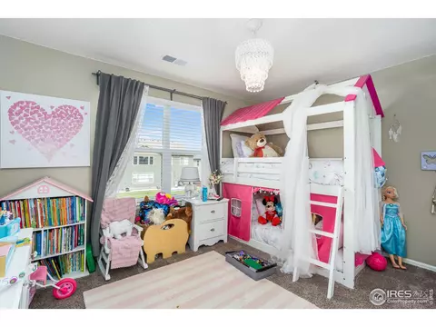 6104 Pryor Rd, Timnath, CO 80547 photo 31