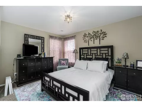 6104 Pryor Rd, Timnath, CO 80547 photo 29