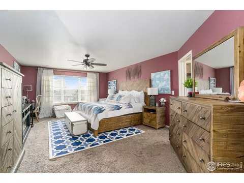6104 Pryor Rd, Timnath, CO 80547 photo 23