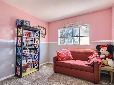1024 E 78th Pl, Thornton, CO 80229 photo 21
