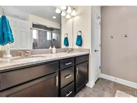20025 E 48th Pl, Denver, CO 80249 photo 23
