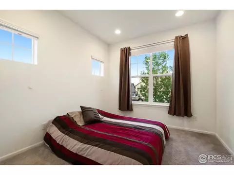 1888 Los Cabos Dr, Windsor, CO 80550 photo 24