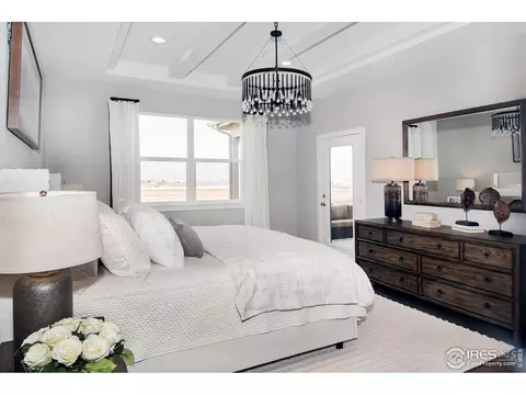 1706 Bounty Dr, Windsor, CO 80550 photo 21