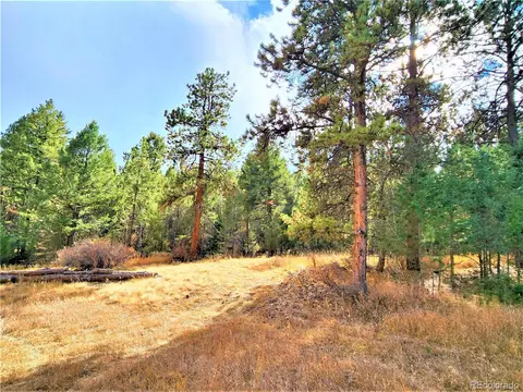 33750 Warren Rd, Pine, CO 80470 photo 4