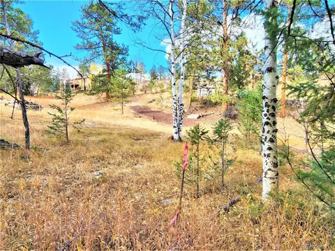 33750 Warren Rd, Pine, CO 80470 photo 6