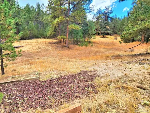 33750 Warren Rd, Pine, CO 80470 photo 12