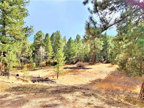 33750 Warren Rd, Pine, CO 80470 photo 10