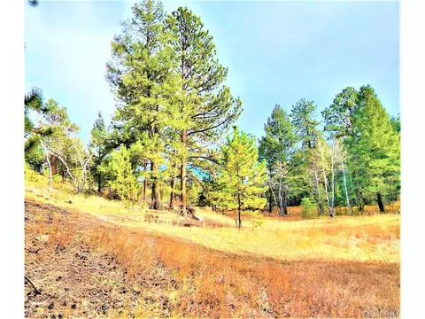 33750 Warren Rd, Pine, CO 80470 photo 1
