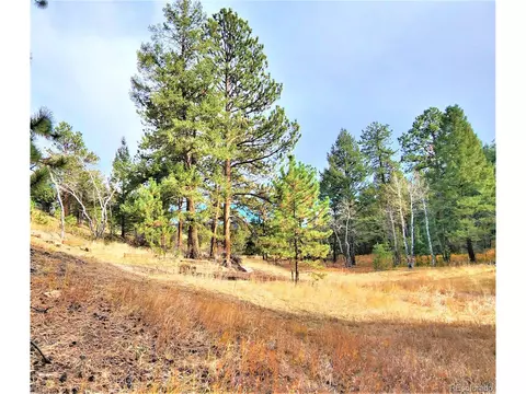 33750 Warren Rd, Pine, CO 80470 photo 11