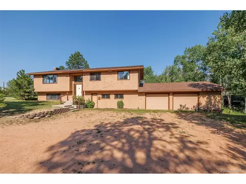 171 Broken Wagon Rd, Woodland Park, CO 80863
