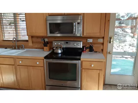 283 Mount Massive Dr, Livermore, CO 80536 photo 18