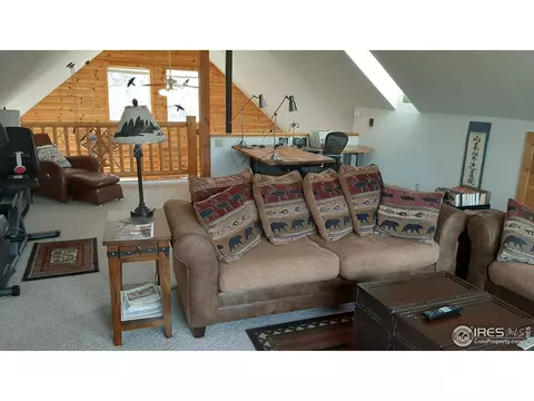 283 Mount Massive Dr, Livermore, CO 80536 photo 31