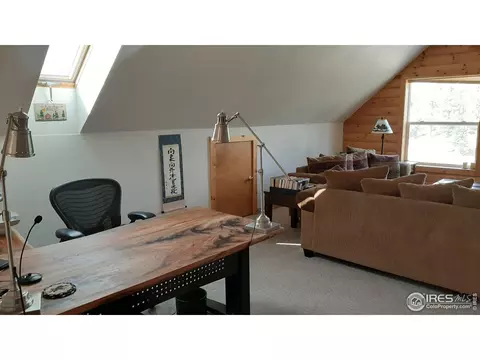 283 Mount Massive Dr, Livermore, CO 80536 photo 33