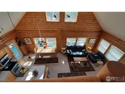 283 Mount Massive Dr, Livermore, CO 80536 photo 29