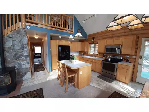283 Mount Massive Dr, Livermore, CO 80536 photo 19