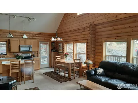 283 Mount Massive Dr, Livermore, CO 80536 photo 14