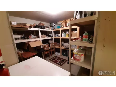 283 Mount Massive Dr, Livermore, CO 80536 photo 34