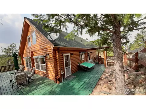 283 Mount Massive Dr, Livermore, CO 80536 photo 11