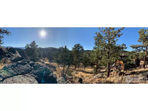 283 Mount Massive Dr, Livermore, CO 80536 photo 5