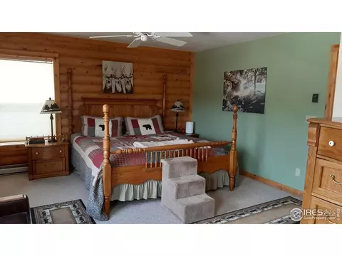283 Mount Massive Dr, Livermore, CO 80536 photo 25