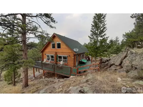 283 Mount Massive Dr, Livermore, CO 80536 photo 6