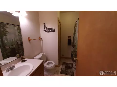 283 Mount Massive Dr, Livermore, CO 80536 photo 9