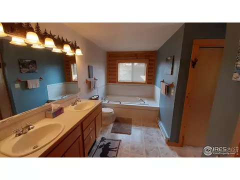283 Mount Massive Dr, Livermore, CO 80536 photo 22