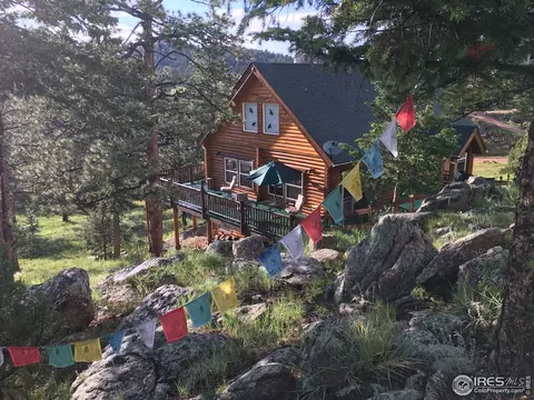 283 Mount Massive Dr, Livermore, CO 80536 photo 4
