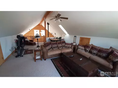 283 Mount Massive Dr, Livermore, CO 80536 photo 30