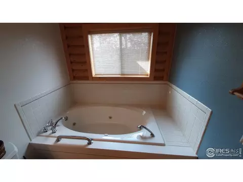 283 Mount Massive Dr, Livermore, CO 80536 photo 27