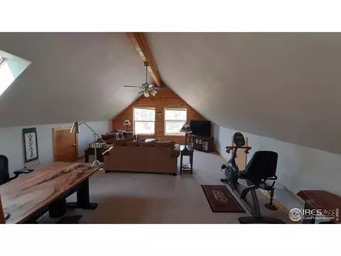 283 Mount Massive Dr, Livermore, CO 80536 photo 24