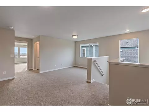 4370 Main St, Timnath, CO 80547 photo 20